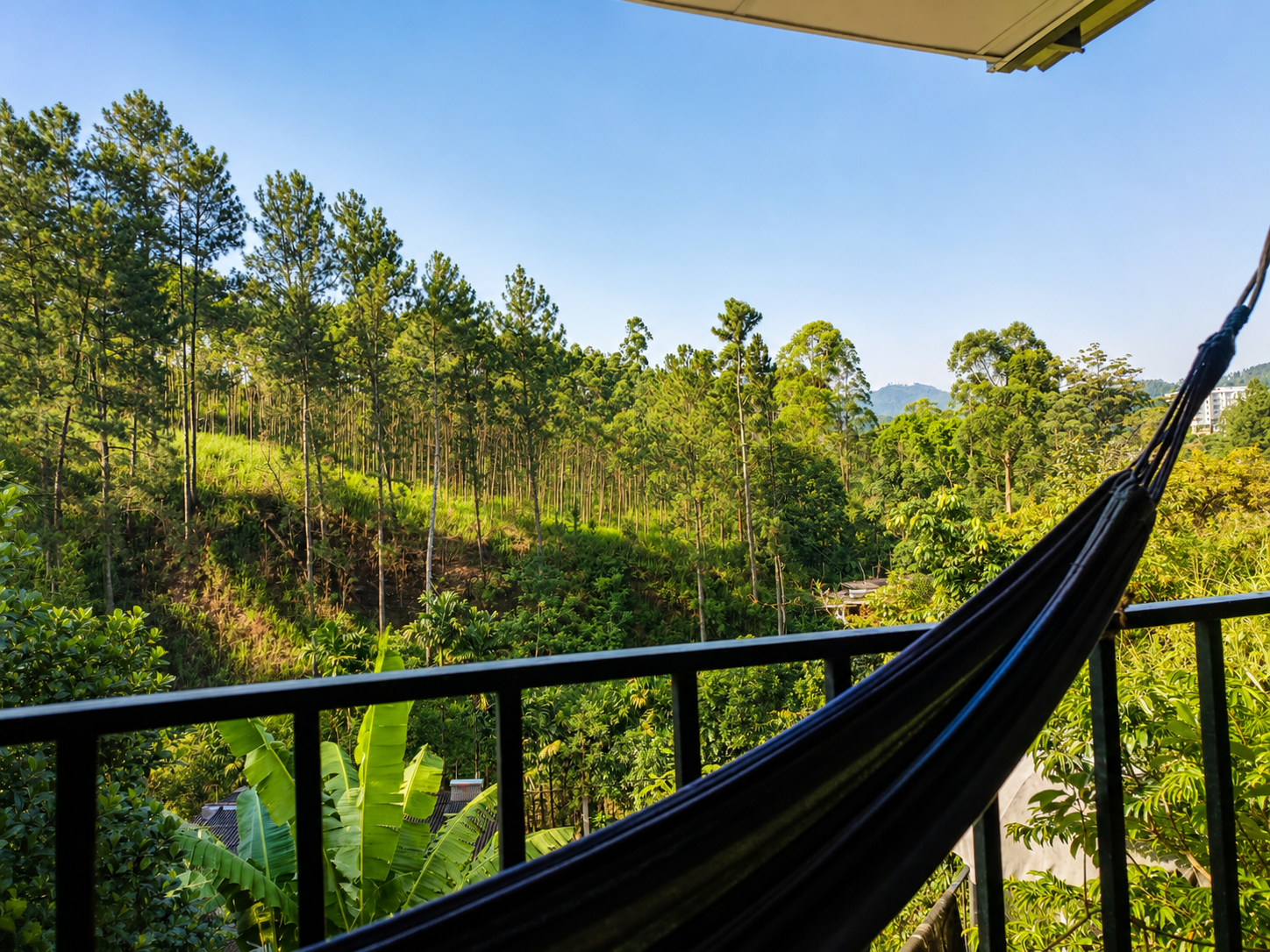 Suite Mountain